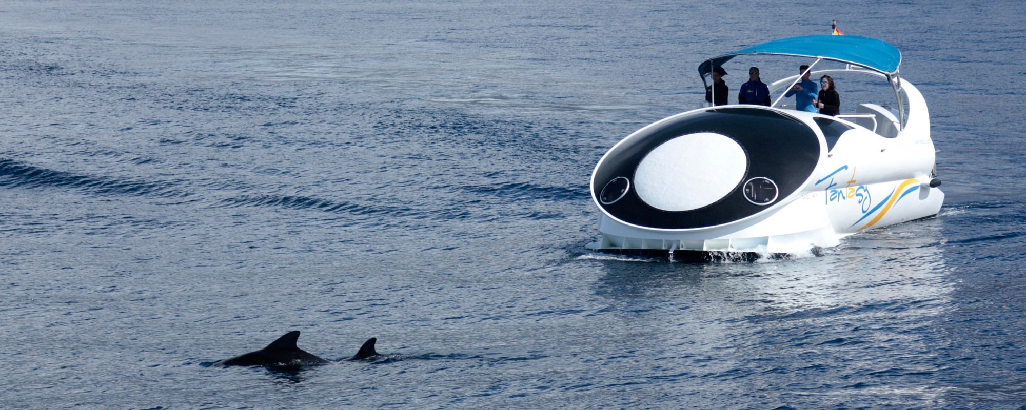 Von Tazacorte aus: Entdecke die Nordwestküste mit einer schnellen Yacht