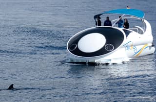 Von Tazacorte aus: Entdecke die Nordwestküste mit einer schnellen Yacht