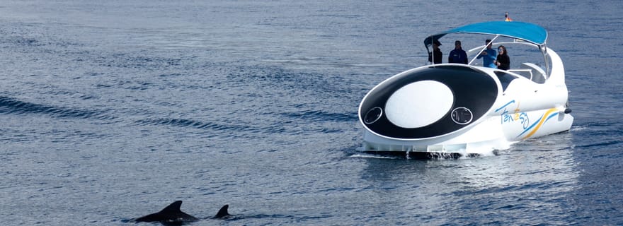 Au départ de Tazacorte : découvrez la côte nord-ouest en yacht rapide.