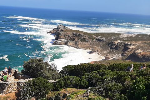 Cape Town: Guided Sightseeing Tour and Cape of Good Hope