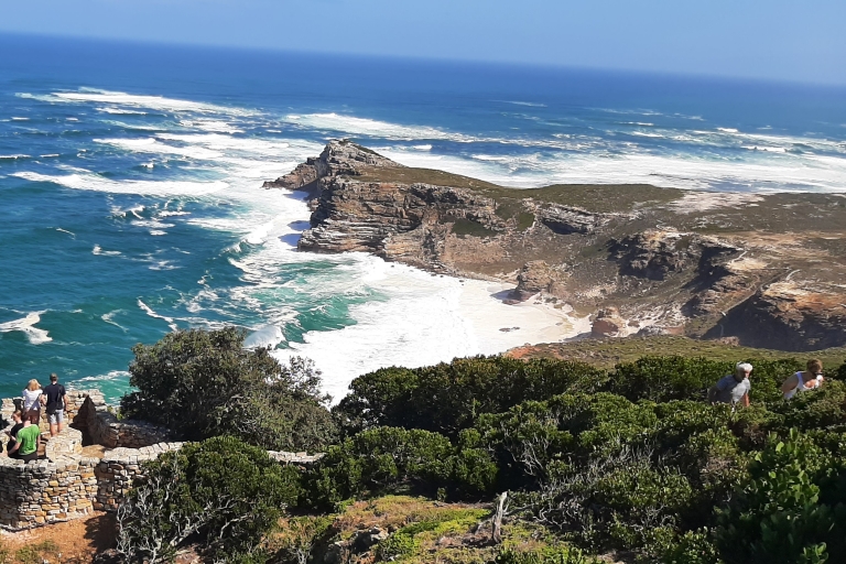 Ciudad del Cabo: Visita turística guiada y Cabo de Buena Esperanza