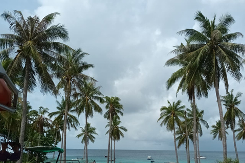 Phuket: Racha Island snorkel- of duiktourAlleen snorkelen