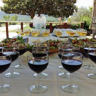 From Dubrovnik: Half-Day Wine Tasting and Cavtat City Tour