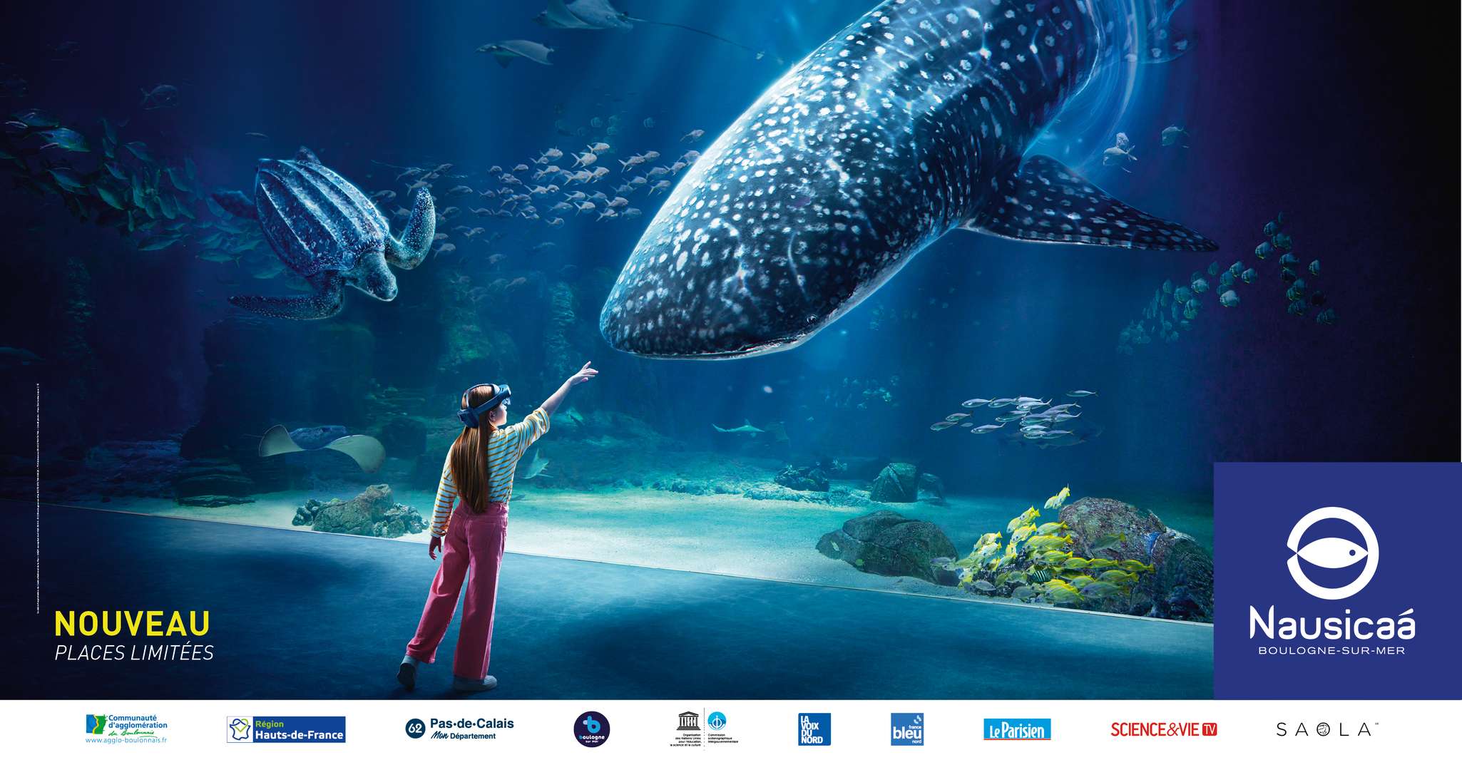 Nausicaá National Sea Center, billet d'entrée d'une journée - Housity
