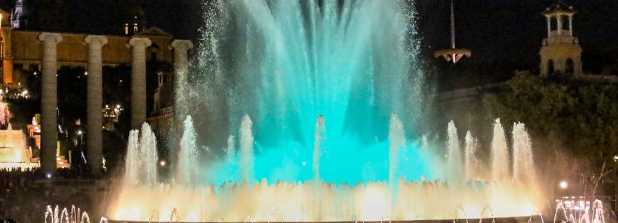 From Salou: Barcelona City Day Trip and Magic Fountains