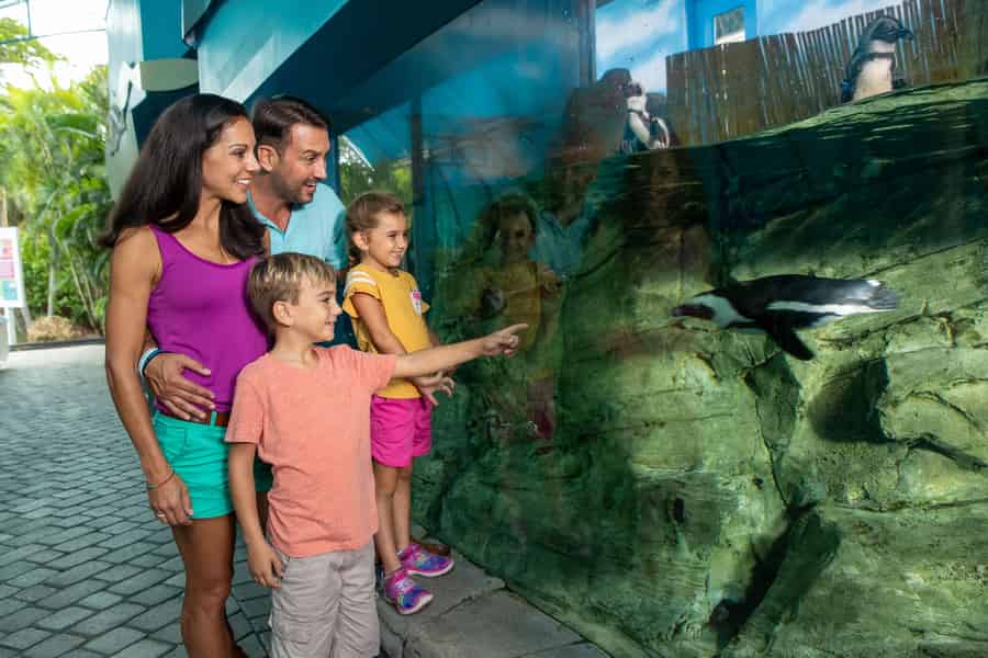 Miami: Die Eintrittskarte für den Miami Seaquarium Park. Foto: GetYourGuide