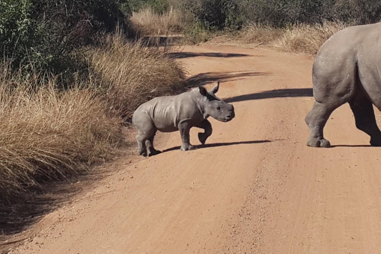 Kruger National Park: Three Day Tour