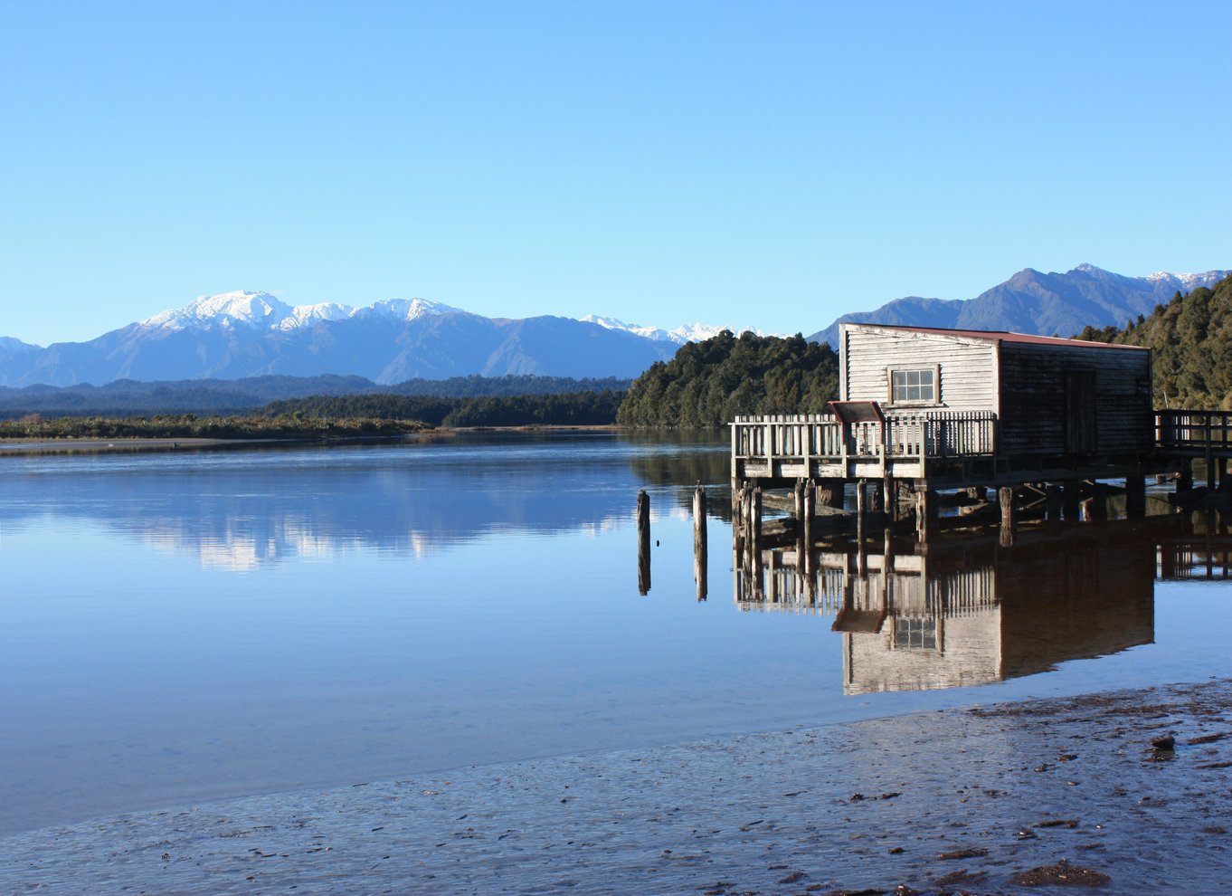 Greymouth: Glacier, Heritage & Wildlife Centre guidet tur