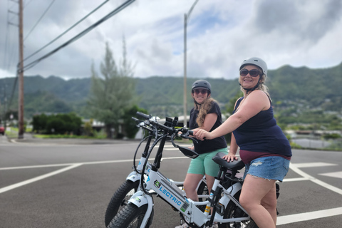 De Waikiki: balade privée en vélo électrique et randonnée aux chutes de Manoa