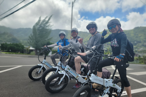 Desde Waikiki: paseo privado en bicicleta eléctrica y caminata por las cataratas Manoa