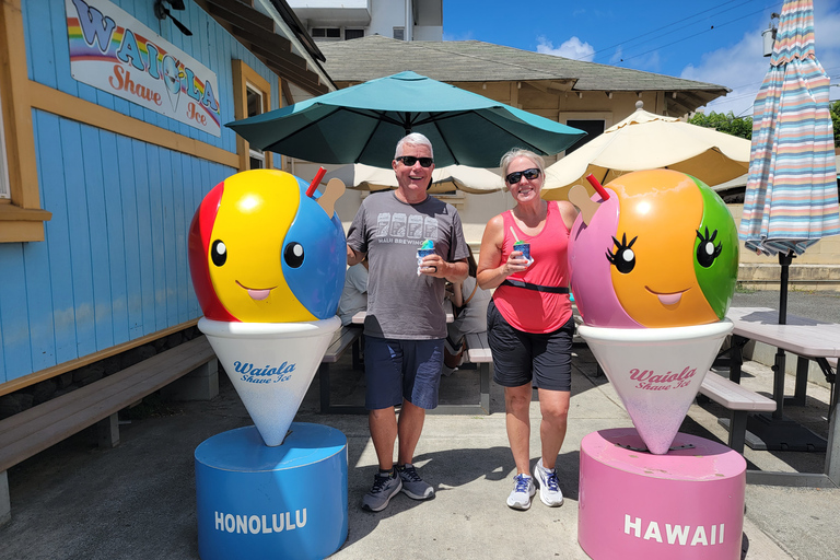 Oahu: Giro in E-Bike a Waikiki ed escursione alle cascate di ManoaOahu: Waikiki E-Bike Ride e Manoa Falls Hike