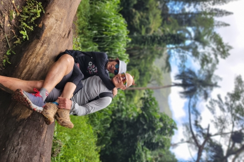 From Waikiki: Private E-Bike Ride and Manoa Falls Hike