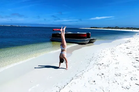 Privat delfintur med stopp vid avskild strand/snorkel