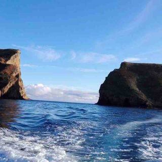Da Ilha Terceira: tour in barca di snorkeling a Ilhéu das Cabras