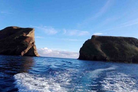 Desde Ilha Terceira: paseo en barco con esnórquel en Ilhéu das Cabras
