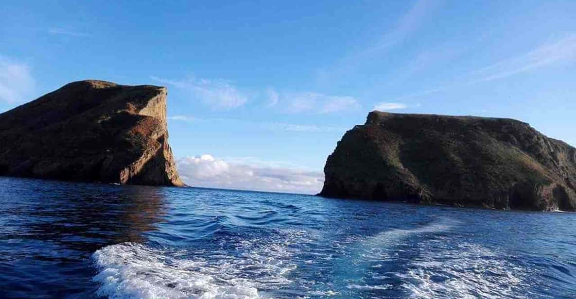 terceira boat tour