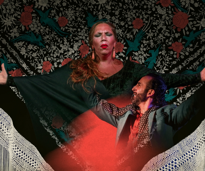 Málaga: Flamenco-forestilling på Alegría
