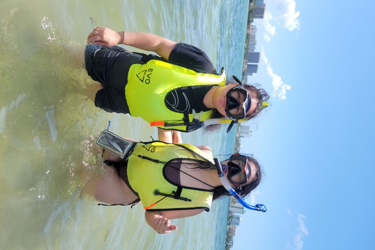 Miami: eiland snorkelen door XXL Stand Up Paddle BoardMiami: snorkelen op het eiland per kajak of stand-up paddleboard