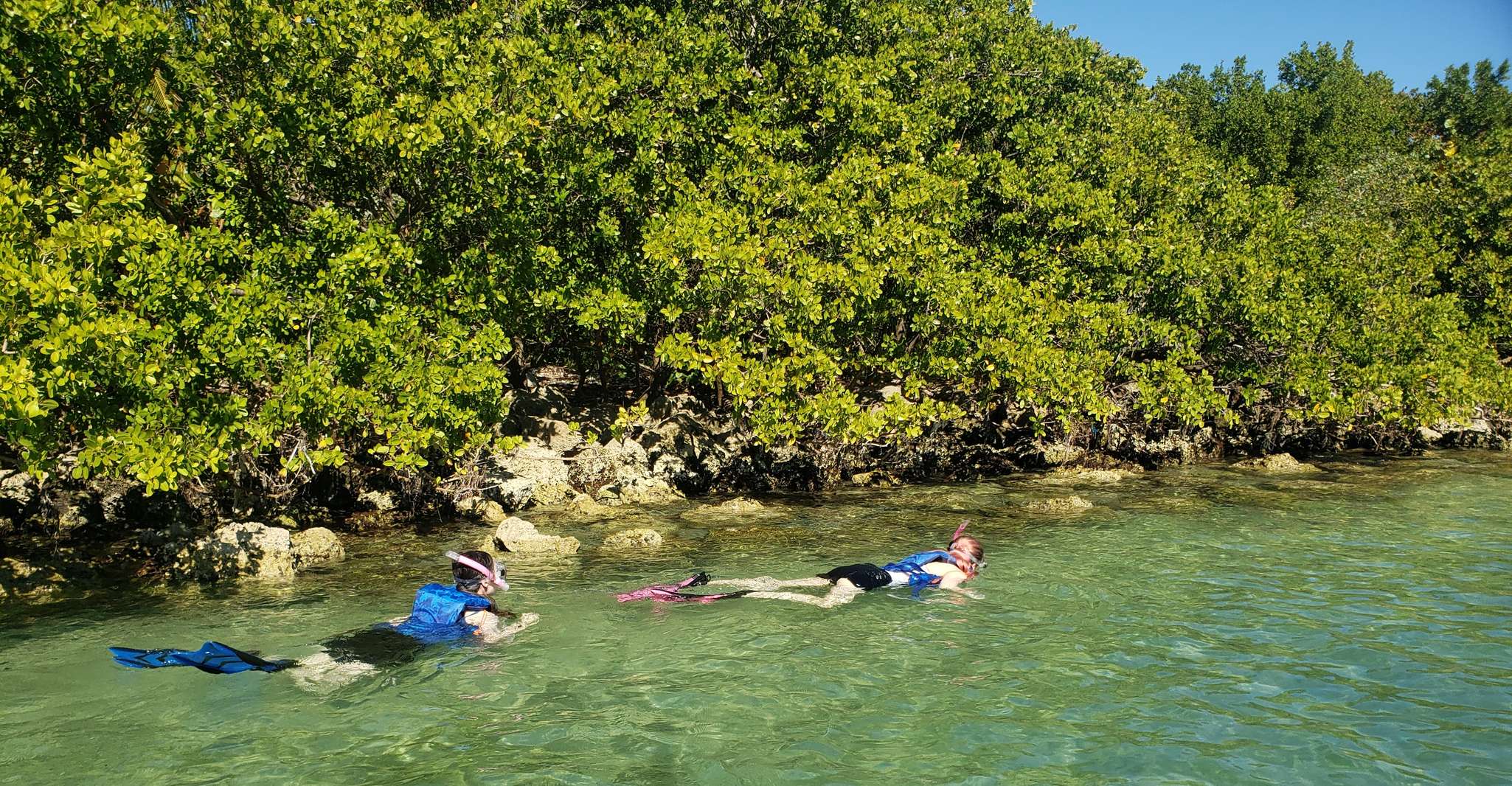 Miami: Beginner-Friendly Island Snorkeling by SUP or Kayak photo 5