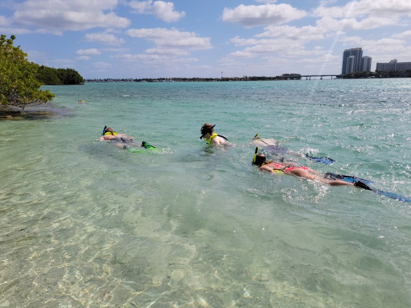 Miami: Anfängerfreundliches Inselschnorcheln mit dem SUP oder Kajak