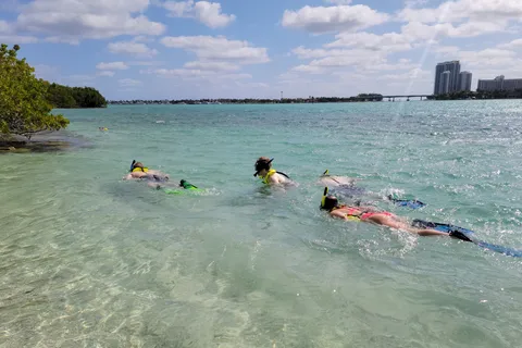 Miami: Nybörjarvänlig snorkling på öar med SUP eller kajak