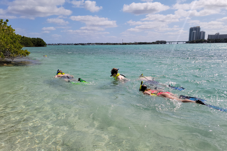 Miami: Snorkelen op een eiland met SUP of kajak voor beginners