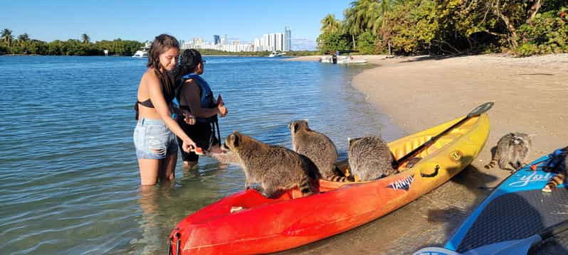 Miami: Island Snorkeling by XXL Stand Up Paddle Board | GetYourGuide