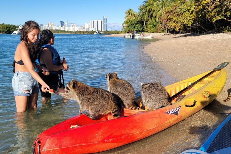 Miami: Island Snorkeling by XXL Stand Up Paddle Board Miami: Island Snorkeling by Kayak or Stand Up Paddle Board