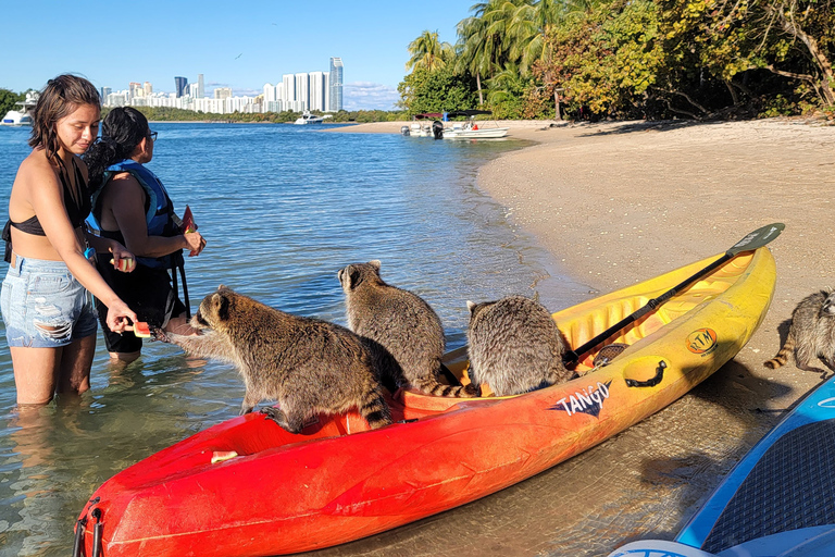 Miami: Anfängerfreundliches Inselschnorcheln mit dem SUP oder Kajak