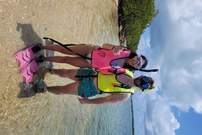 Miami: eiland snorkelen door XXL Stand Up Paddle BoardMiami: snorkelen op het eiland per kajak of stand-up paddleboard