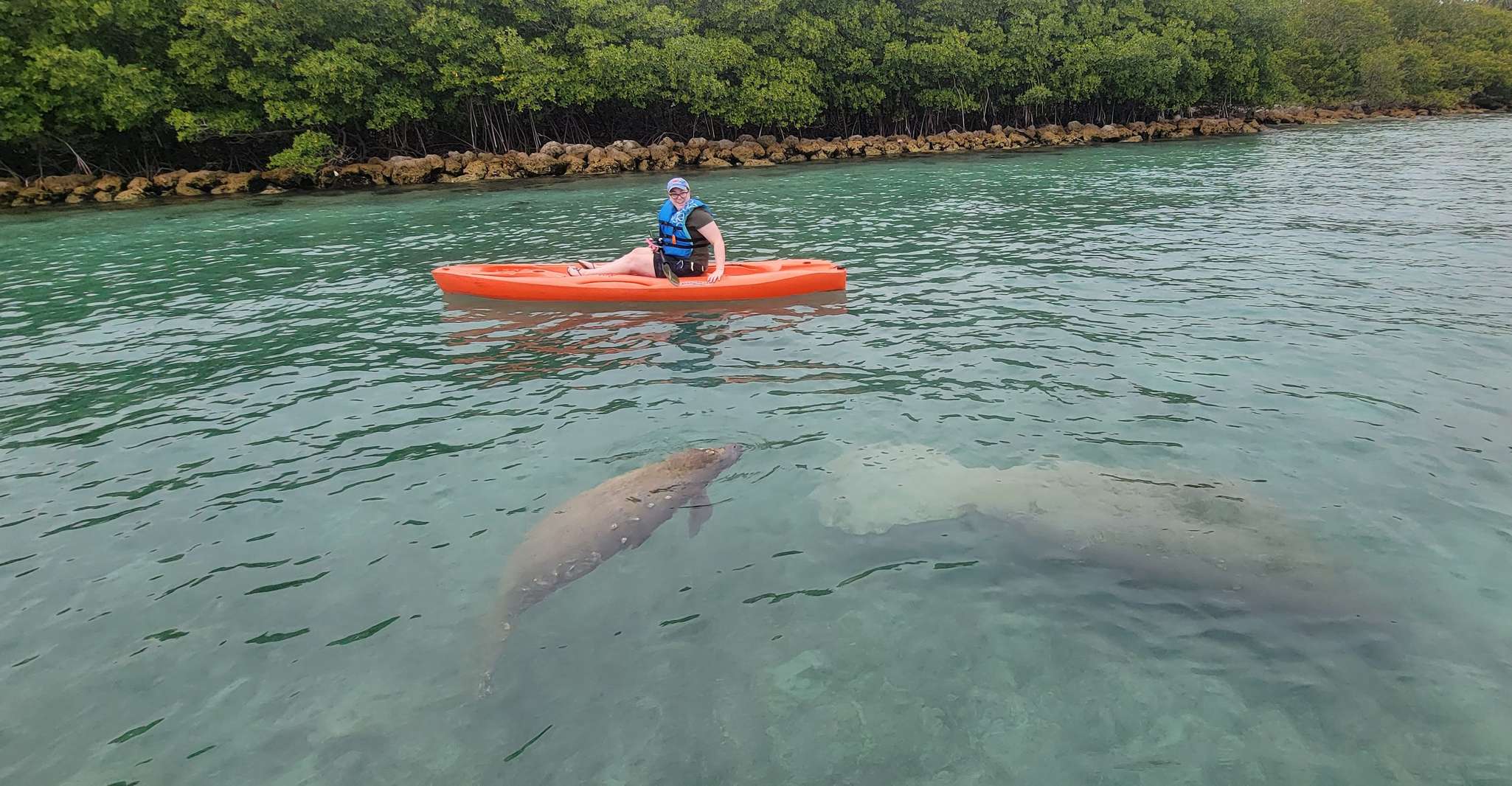 Miami: Beginner-Friendly Island Snorkeling by SUP or Kayak photo 8