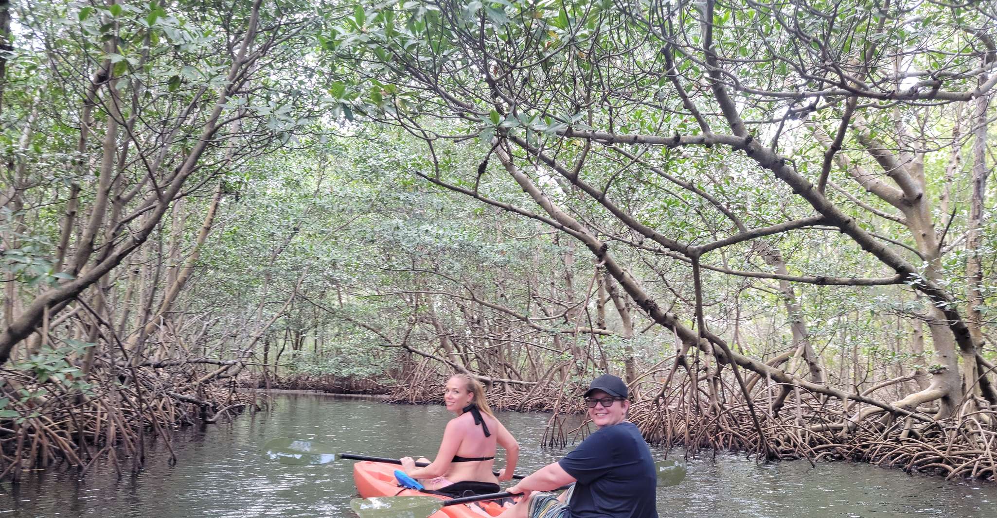Miami: Beginner-Friendly Island Snorkeling by SUP or Kayak photo 9