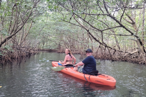 Miami: Island Snorkeling by XXL Stand Up Paddle Board Miami: Island Snorkeling by Kayak or Stand Up Paddle Board