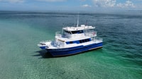 St. Petersburg, FL, 4-Hour Catamaran Cruise to Egmont Key - Housity