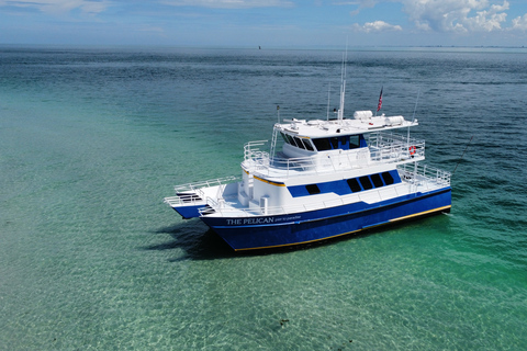 St. Petersburg, FL: 4-Hour Catamaran Cruise to Egmont Key