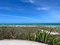 St. Petersburg, FL, 4-Hour Catamaran Cruise to Egmont Key - Housity
