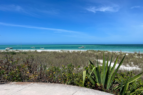 St. Petersburg, FL: 4-Hour Catamaran Cruise to Egmont Key