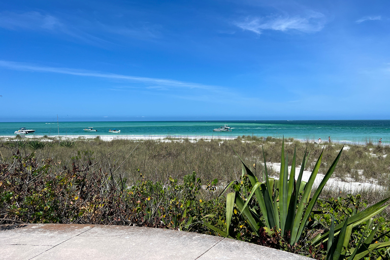 St. Petersburg, FL: 4-Hour Catamaran Cruise to Egmont Key