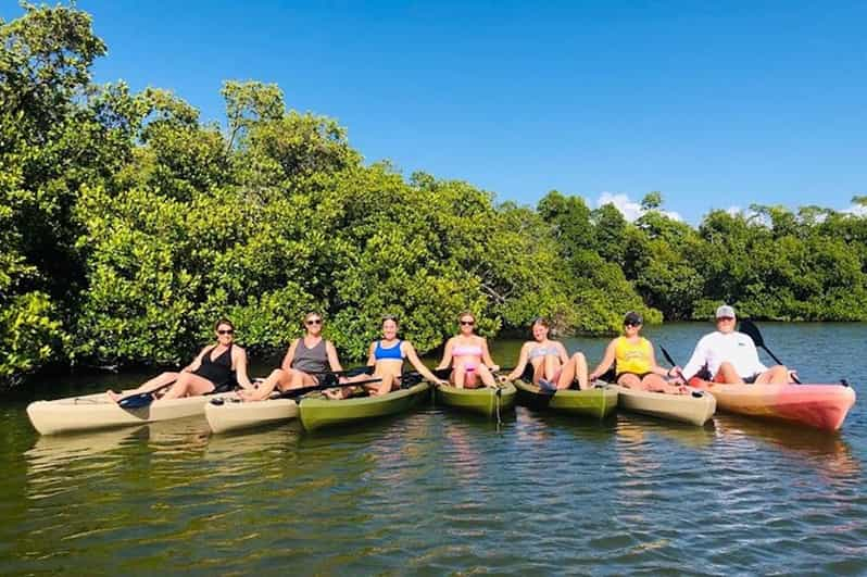 From Naples, FL: Marco Island Mangroves Kayak Or Paddle Tour | GetYourGuide