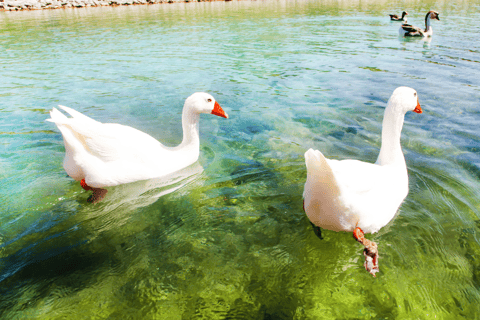 From Heraklion: Guided Day Trip to Rethymno & Kournas Lake