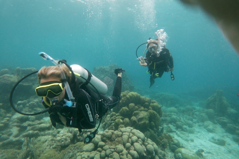 Aruba: Mangel Halto Reef & Hole in the Wall Shore Scuba Dive