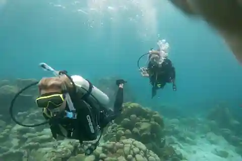 Aruba: Mangel Halto Reef & Hole in the Wall Shore Scuba Dive