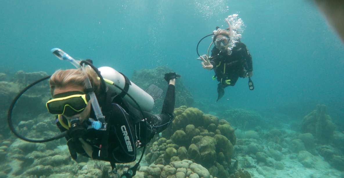Aruba: Mangel Halto Reef & Hole in the Wall Shore Scuba Dive | GetYourGuide
