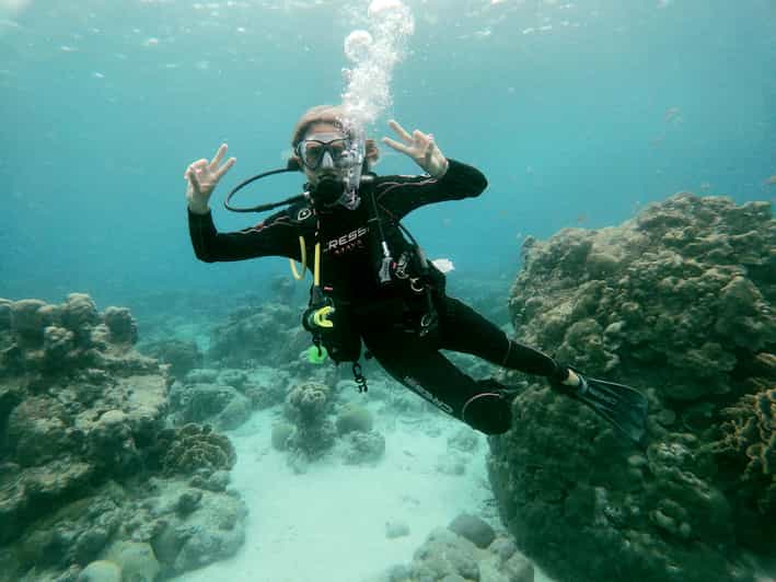Aruba Mangel Halto Reef & Hole in the Wall Shore Scuba Dive GetYourGuide