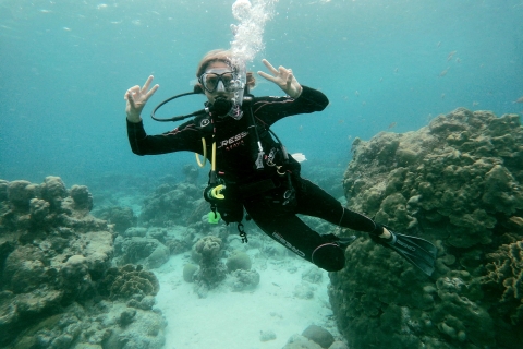 Aruba: Mangel Halto Reef & Hole in the Wall Shore Scuba Dive