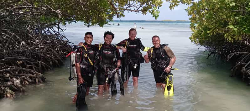 Aruba: Mangel Halto Reef & Hole in the Wall Shore Scuba Dive | GetYourGuide