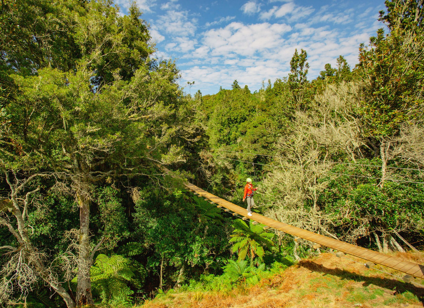 Okere Falls: Zipline over vandfald: Oplevelse