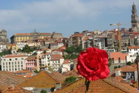 Porto: City Highlights Guided Walking Tour & Rua das Flores