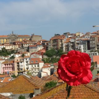 Porto: City Highlights Guided Walking Tour & Rua das Flores