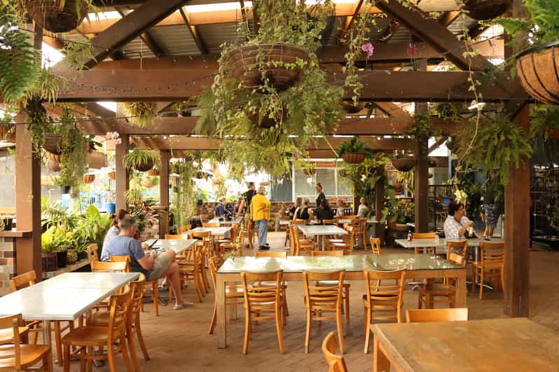 Van Airlie Beach Whitsunday Hinterland en Beach Bus Tour GetYourGuide